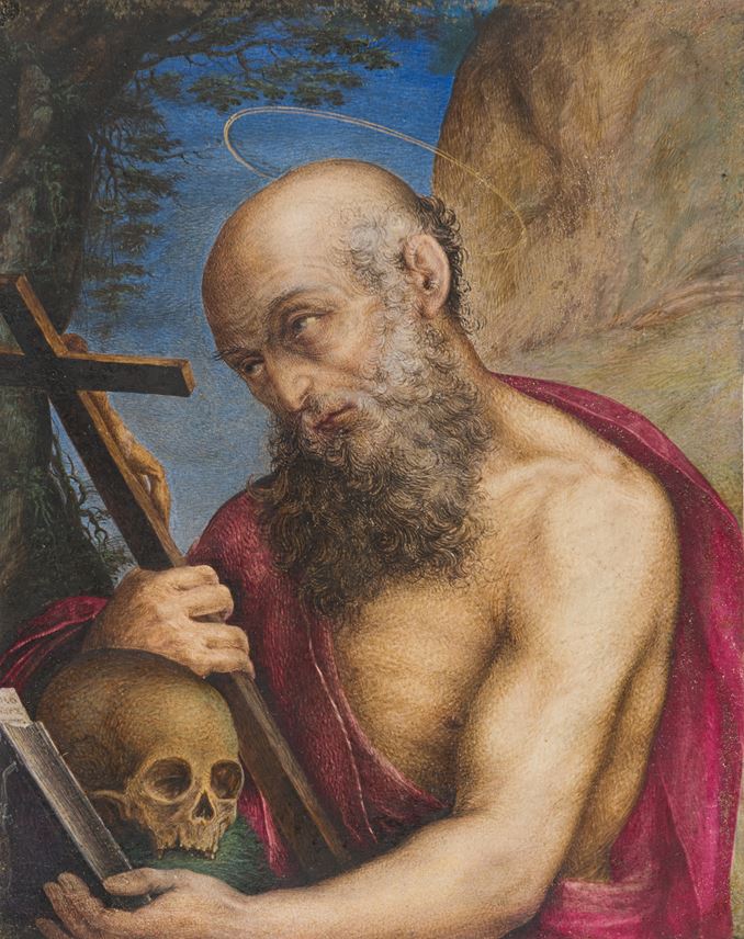 Giovanni Battista CASTELLO - Saint Jerome in Prayer | MasterArt
